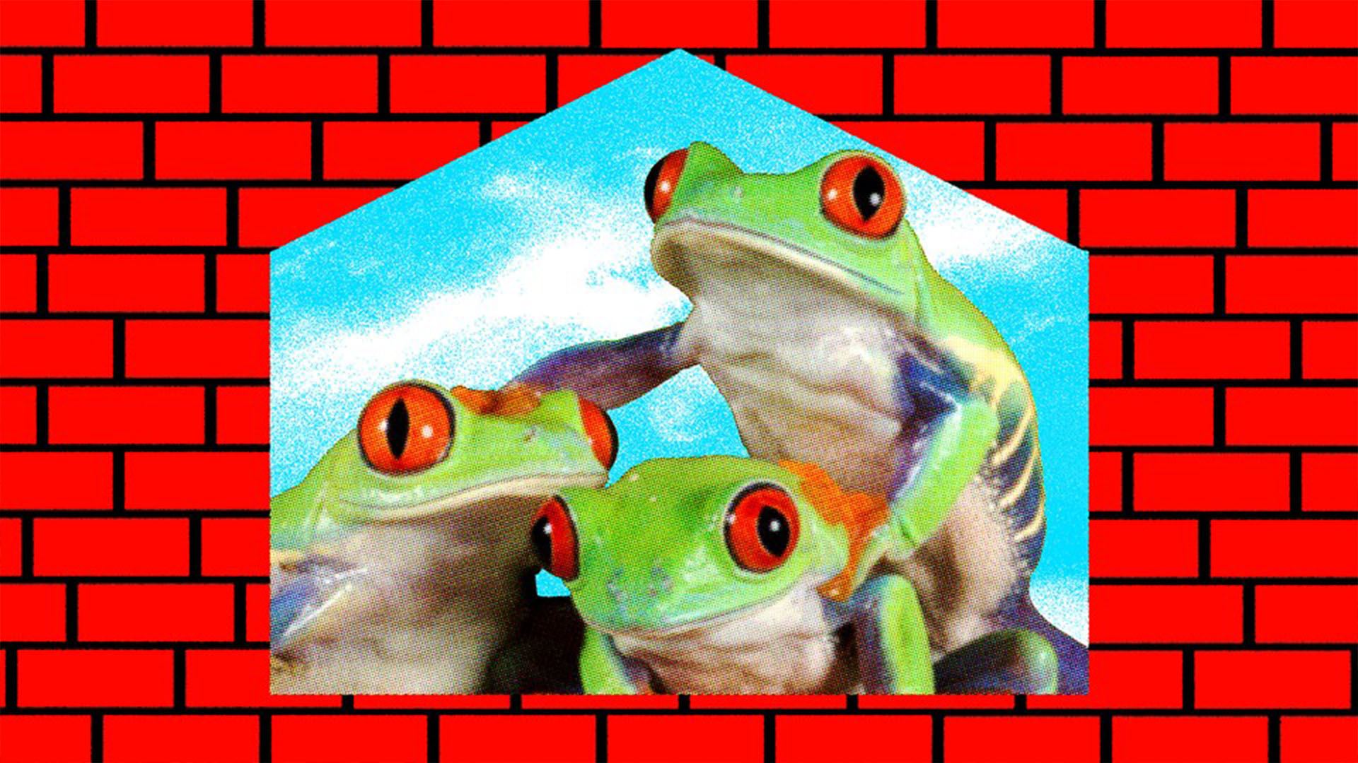 You Should Build a Frog Pond
