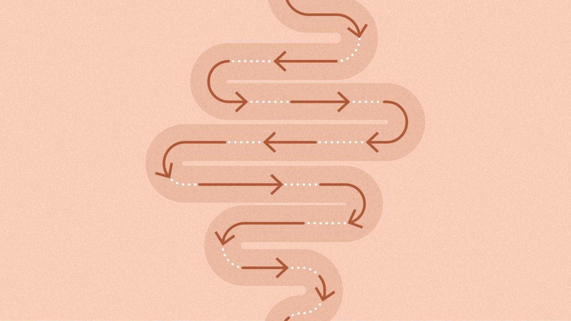 ‘Gut Health’ Has a Fatal Flaw