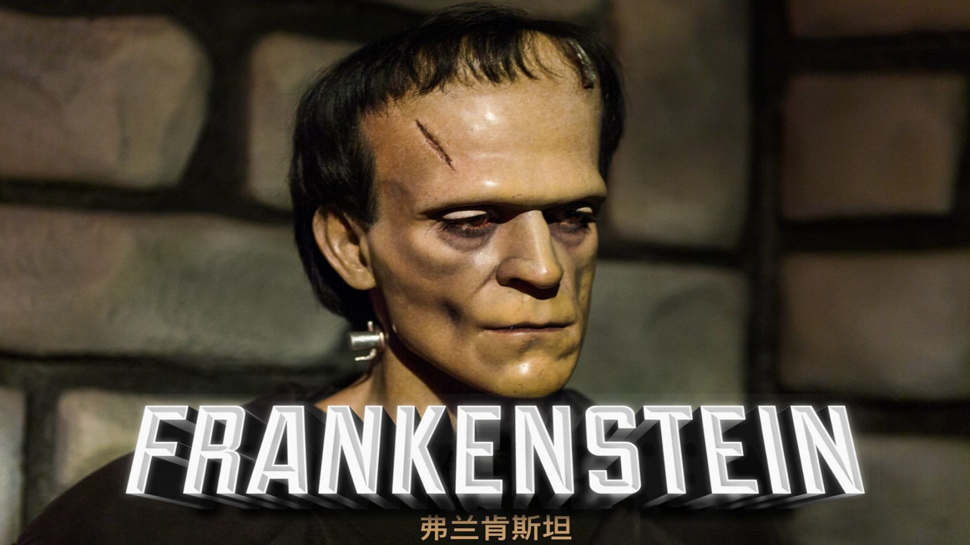 What is the Reason that Frankenstein Creates the Monster?
