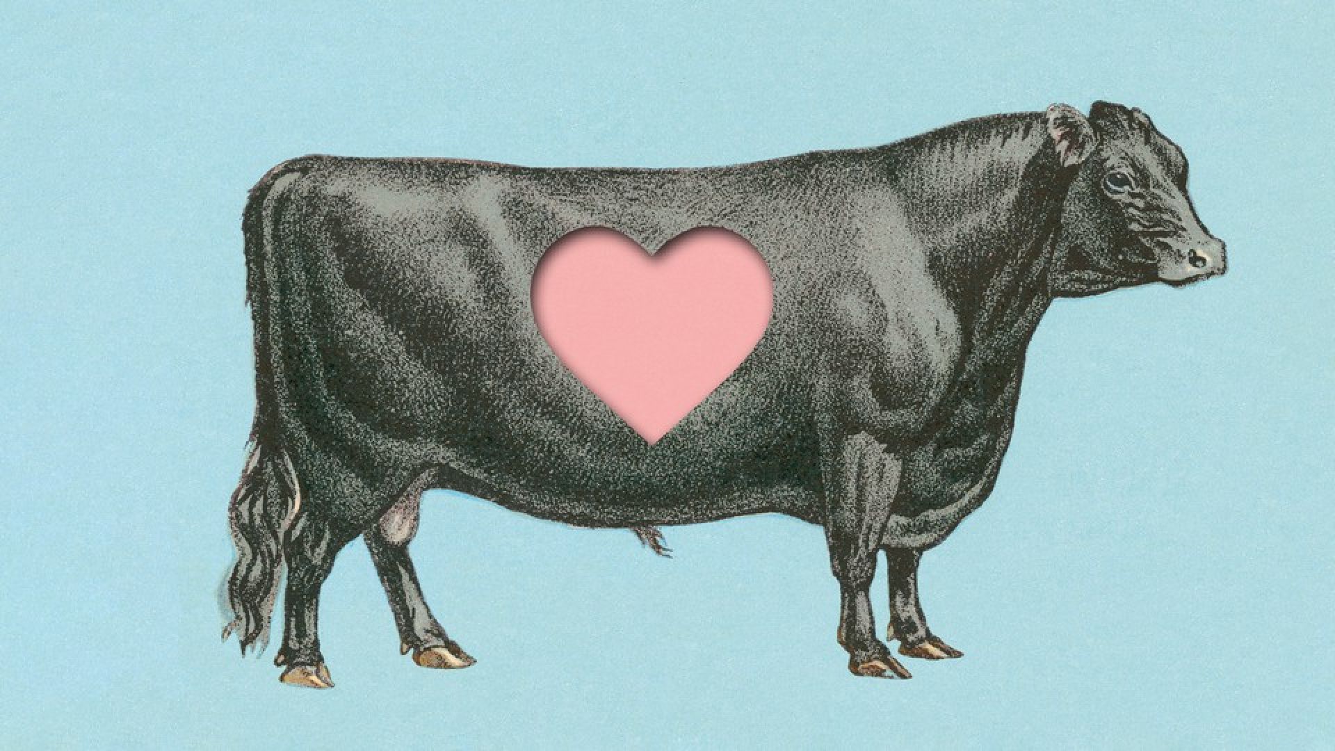 How Organ Meat Got Into Smoothies