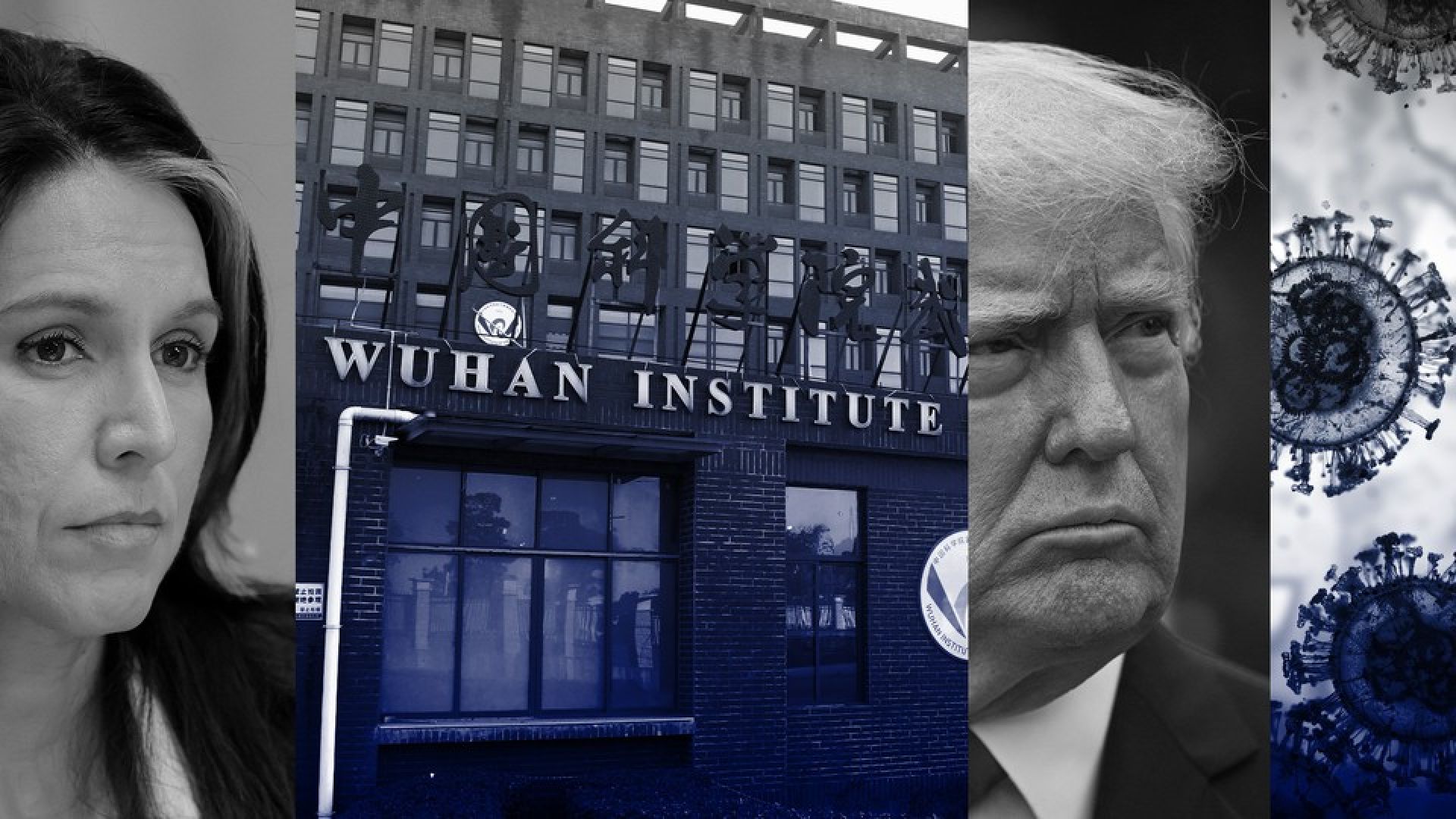 Trump Thinks He Knows What Started the Pandemic