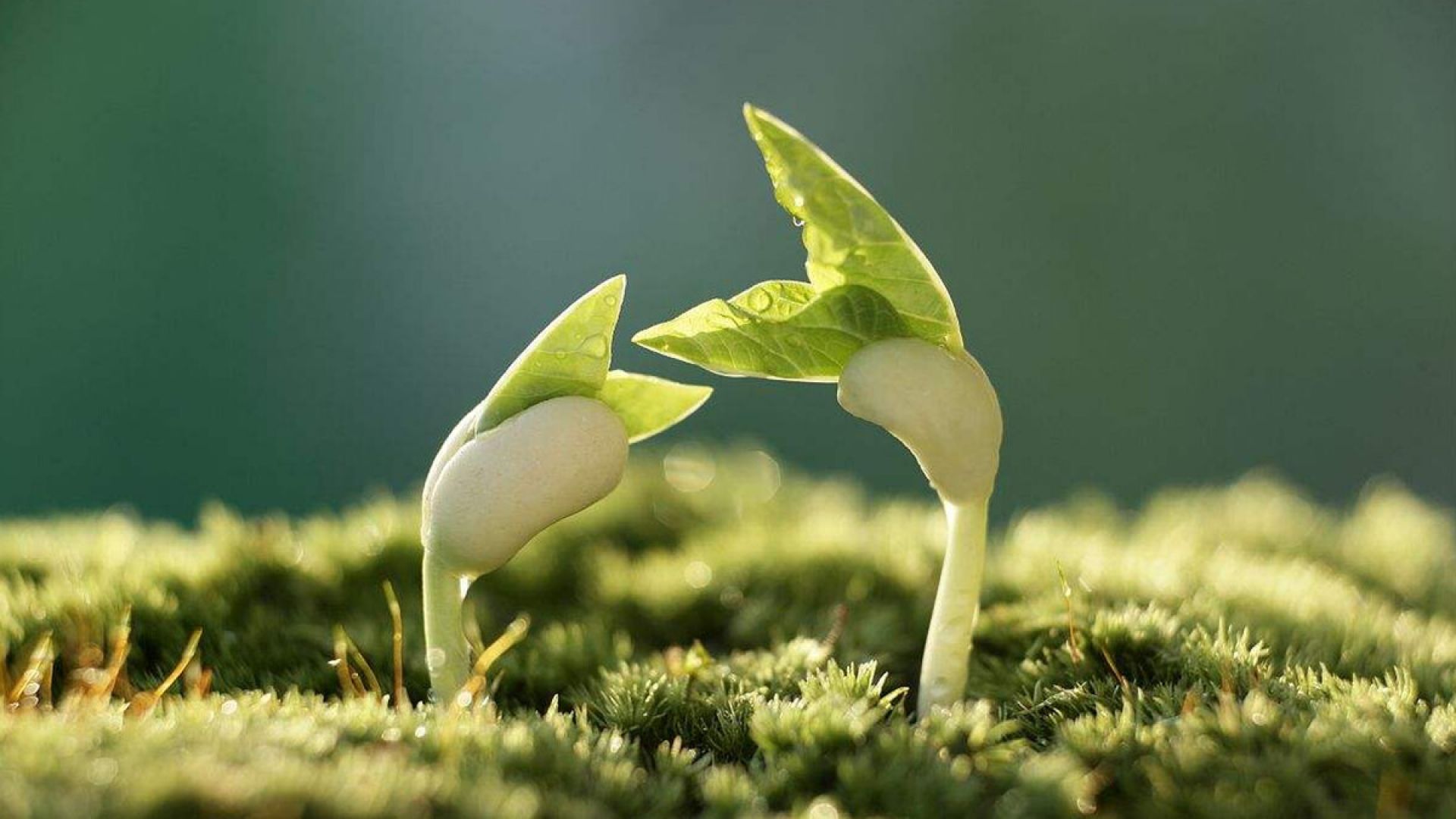 The Fitting Fulfillment View Plus Positive Response